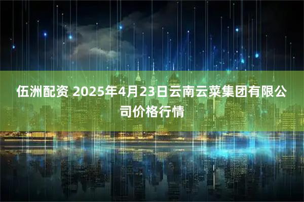 伍洲配资 2025年4月23日云南云菜集团有限公司价格行情