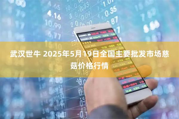 武汉世牛 2025年5月19日全国主要批发市场慈菇价格行情