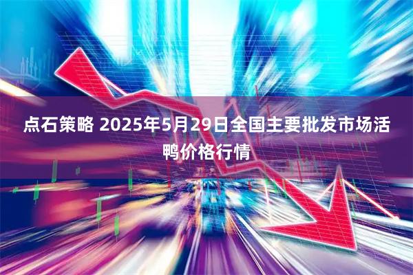 点石策略 2025年5月29日全国主要批发市场活鸭价格行情
