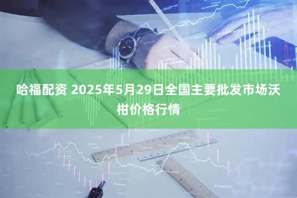 哈福配资 2025年5月29日全国主要批发市场沃柑价格行情