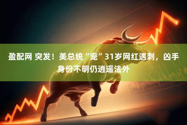 盈配网 突发！美总统“宠”31岁网红遇刺，凶手身份不明仍逍遥法外